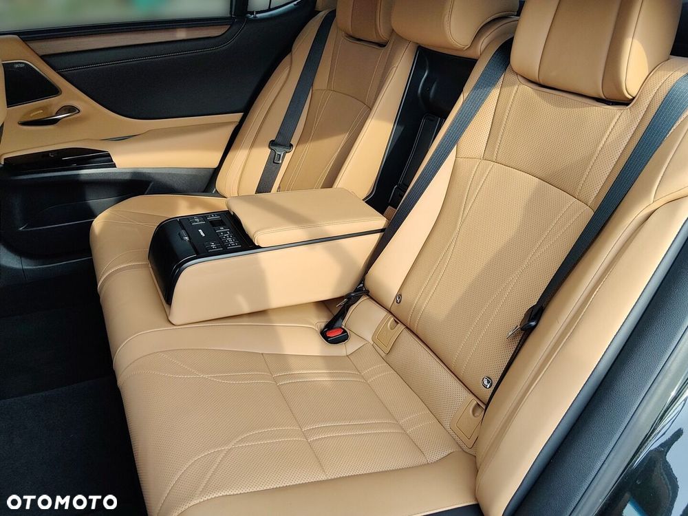 Lexus ES 300h Omotenashi - 16