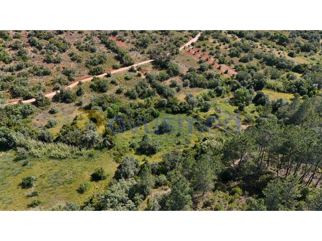 Terreno Rústico de 3000m² na Encantadora Fonte Benémola - Querença,... - Grande imagem: 4/13