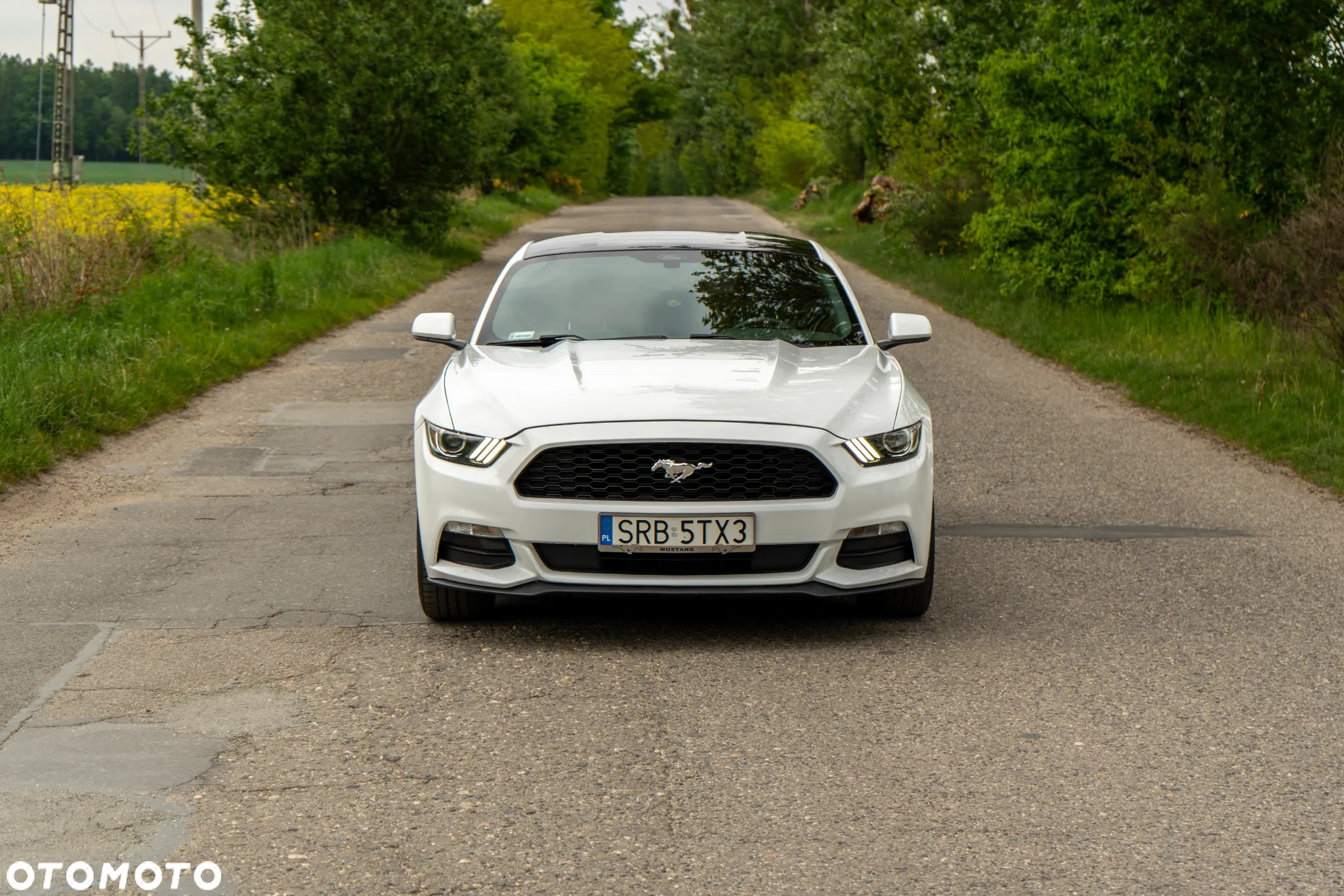 Ford Mustang - 3