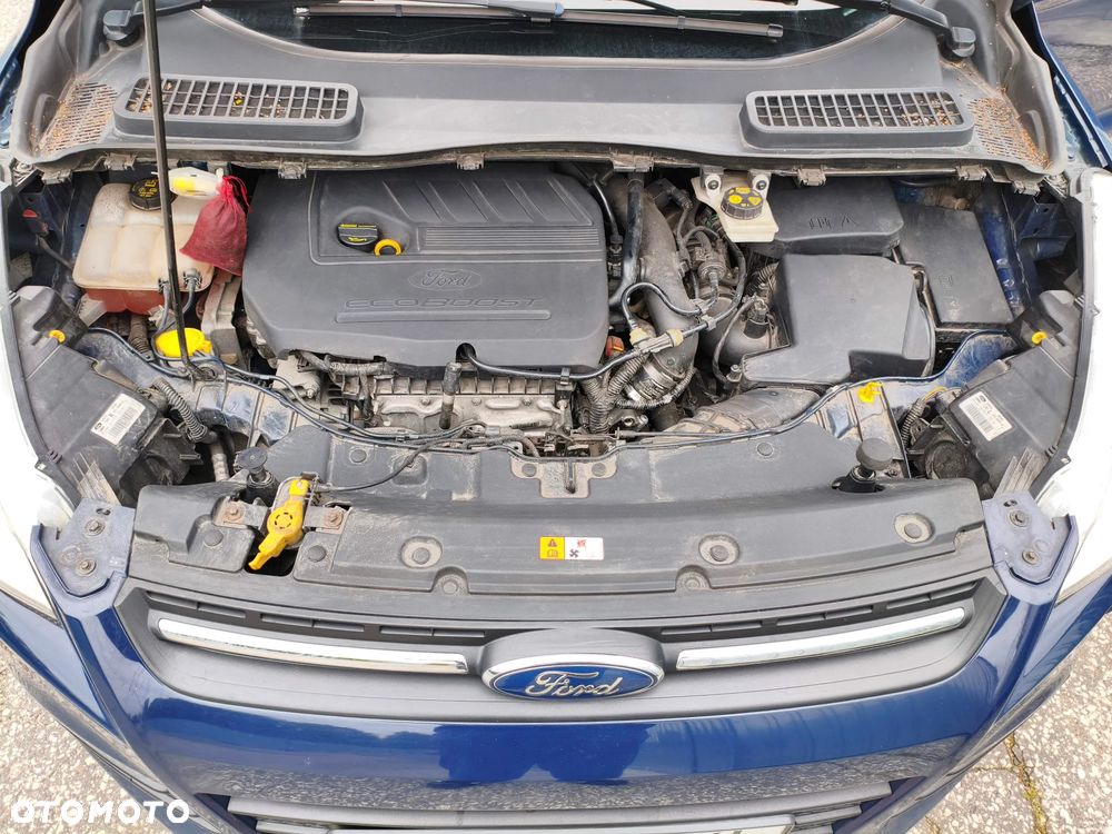 Ford Kuga 1.5 EcoBoost AWD Trend ASS - 24
