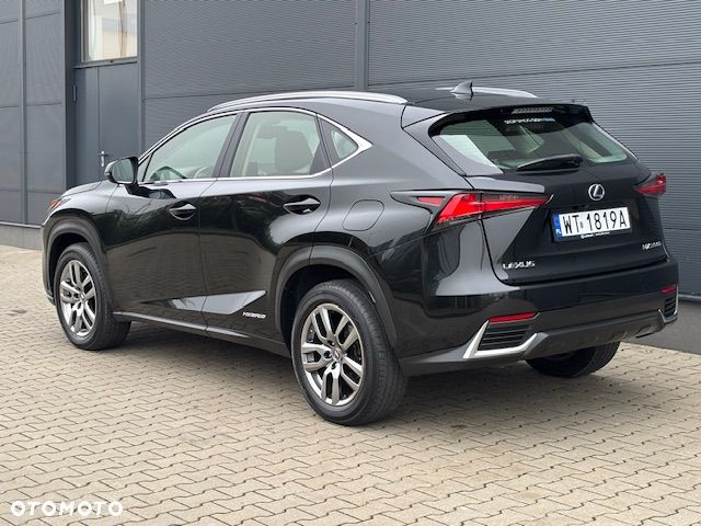 Lexus NX - 6