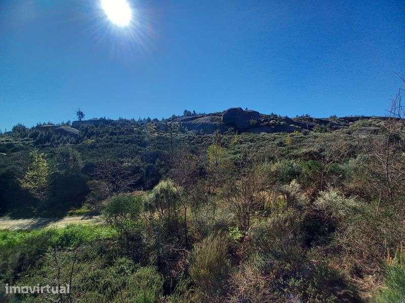 Terreno Rustico - 2.5 hectares - Travanca de Lagos - Grande imagem: 5/10
