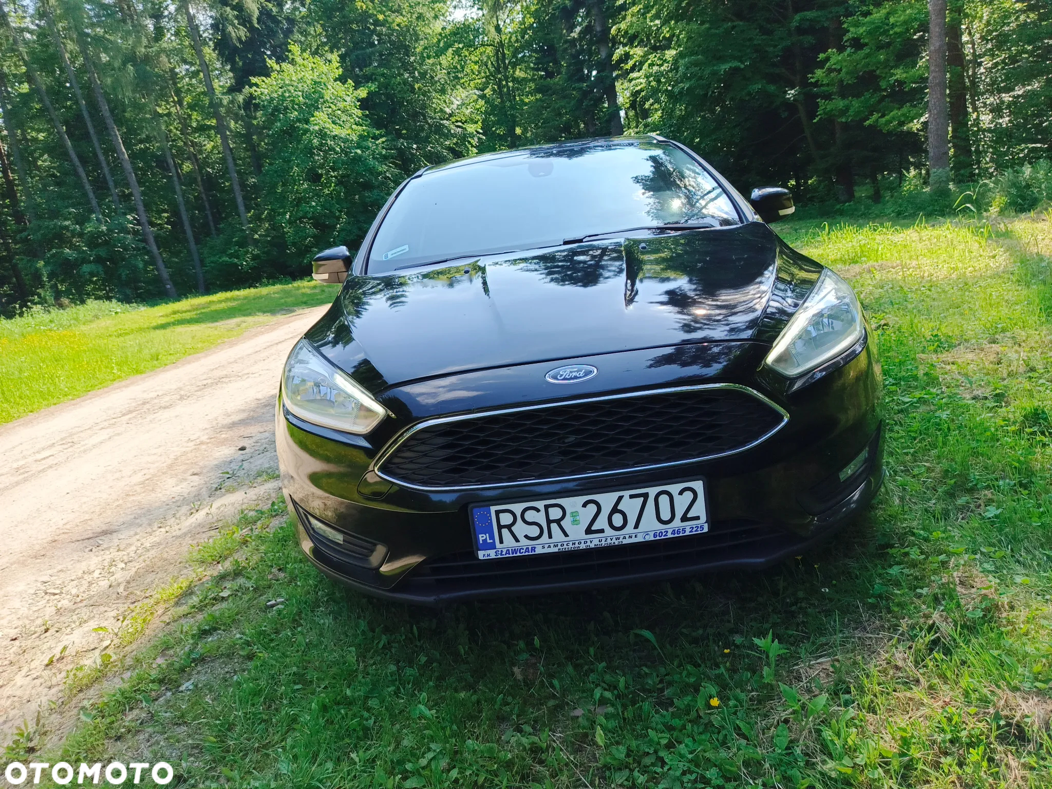 Ford Focus - 2
