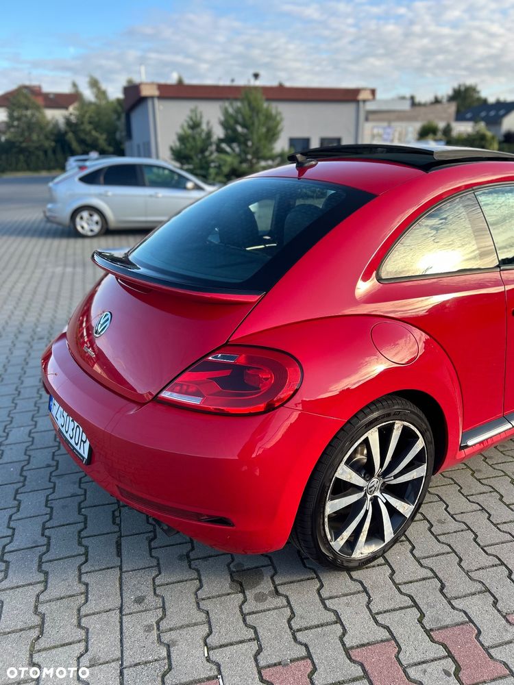 Volkswagen Beetle - 17