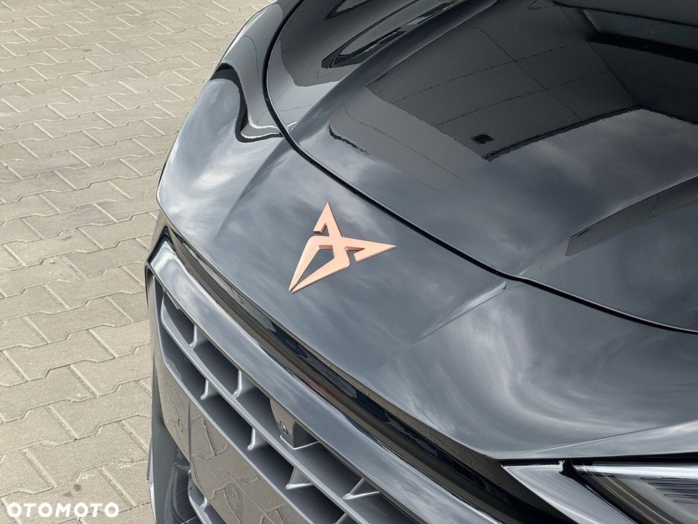 Cupra Terramar - 6