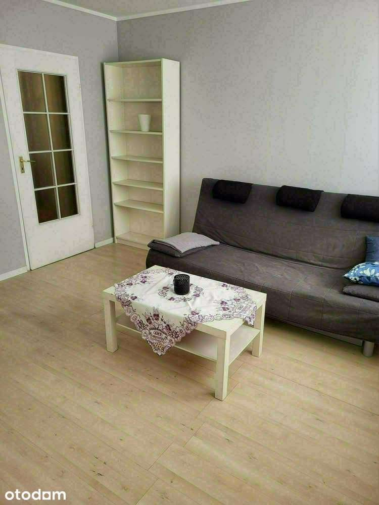 Przytulna kawalerka na Jeżycach!