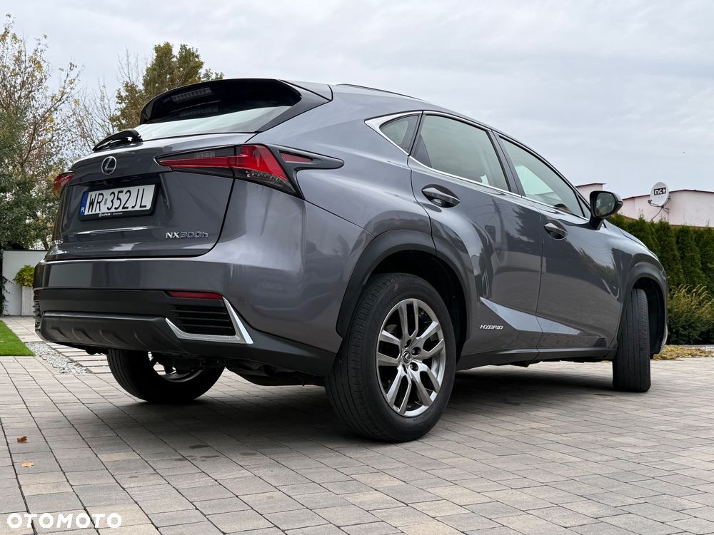Lexus NX - 21