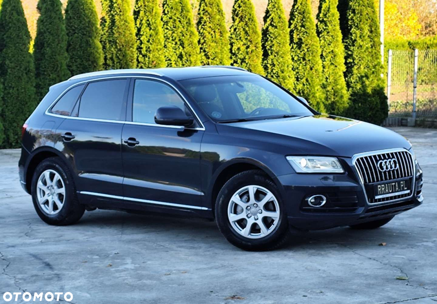 Audi Q5 - 10