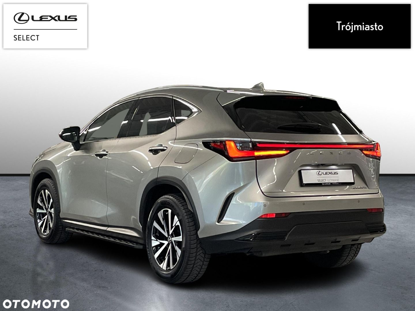Lexus NX - 8