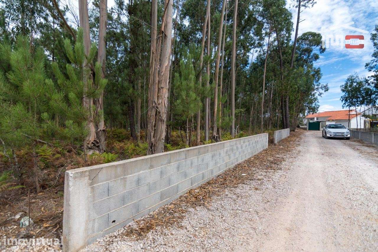 TERRENO RUSTICO COM AREA DE 2900 M2 BOA FRENTE DE ESTRADA EM MOITA ... - Grande imagem: 4/8