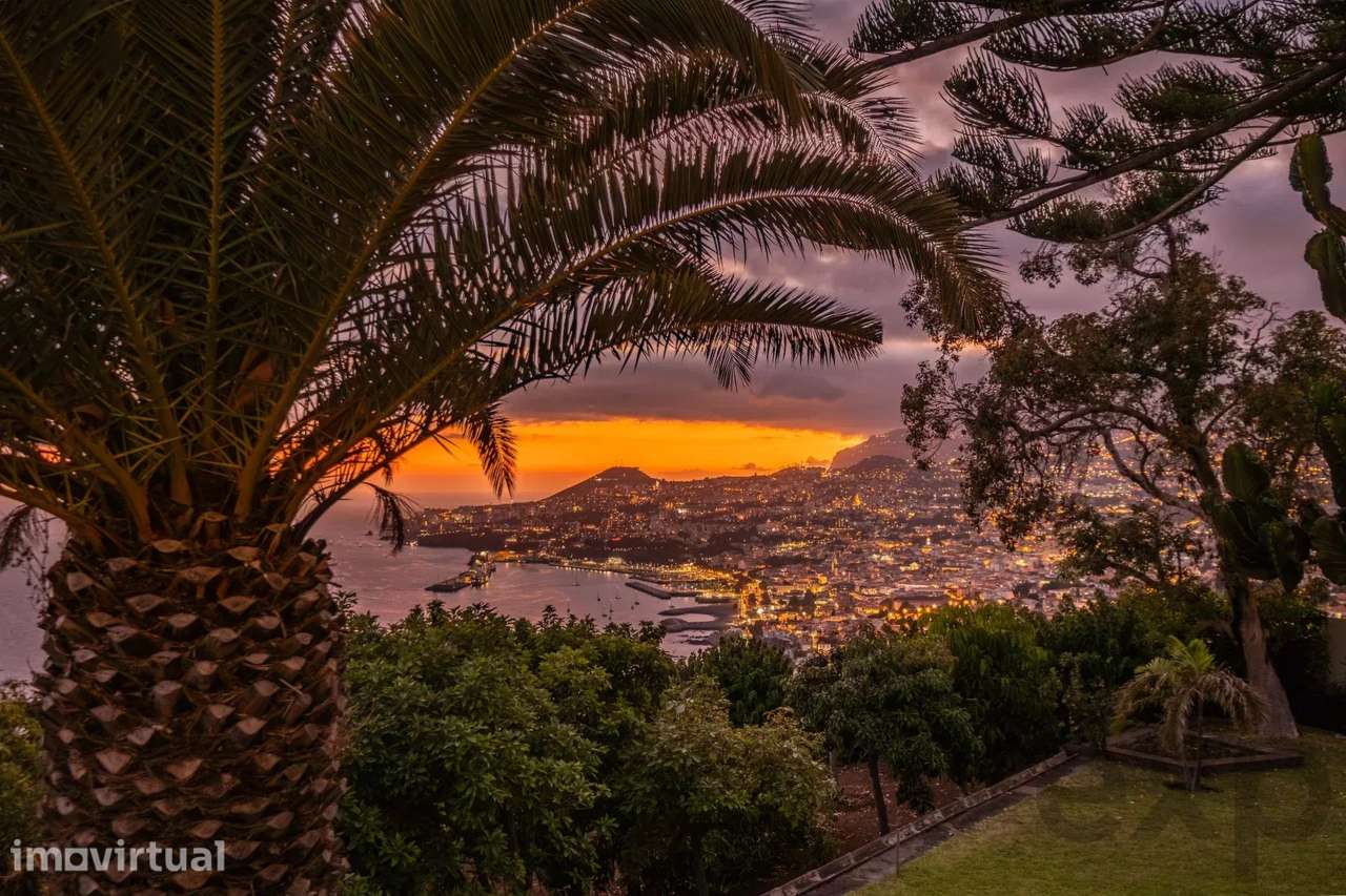 A ÚLTIMA GRANDE PROPRIEDADE ATLÂNTICA, Madeira,  Portugal - Grande imagem: 4/44