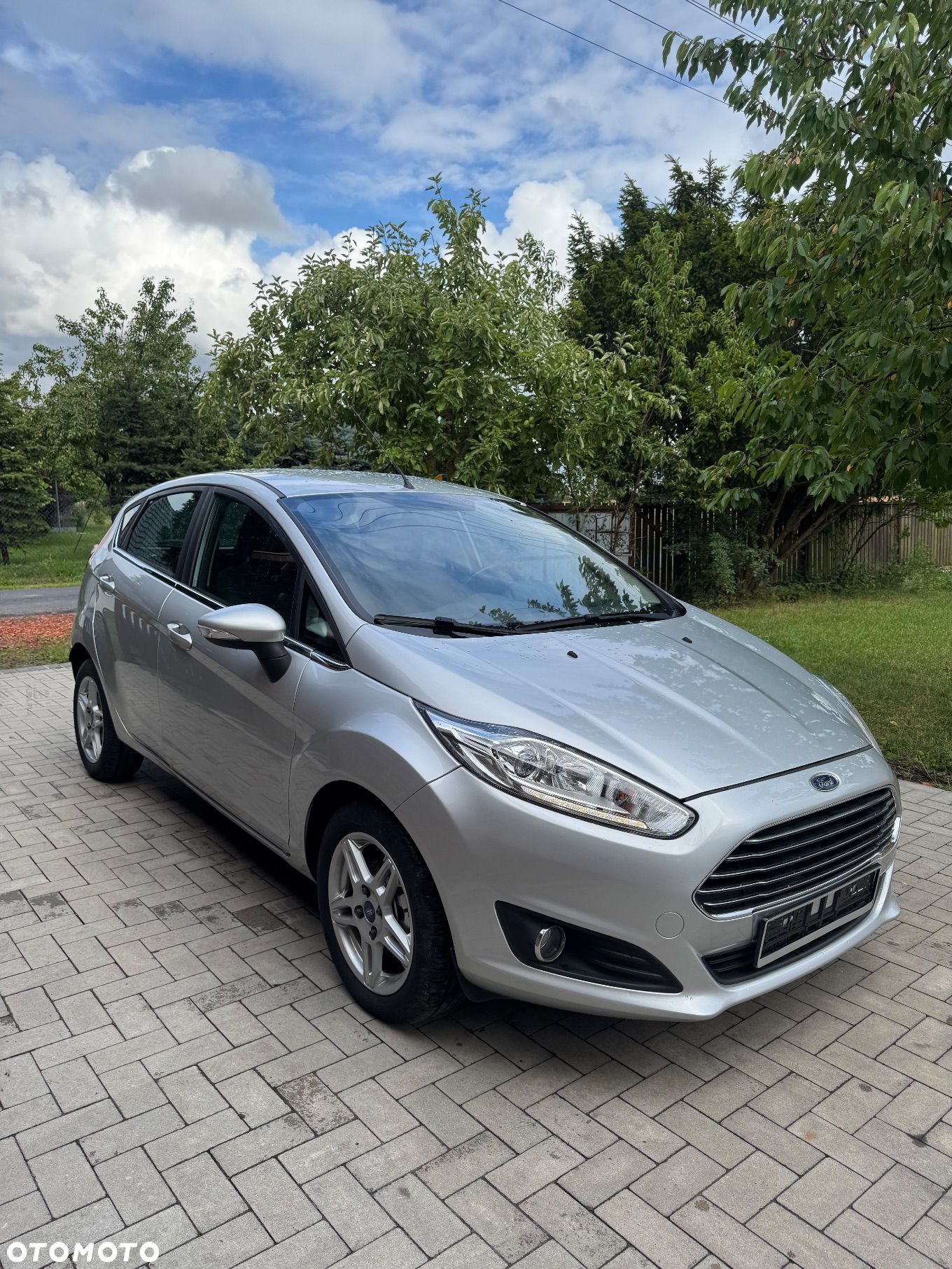 Ford Fiesta - 1