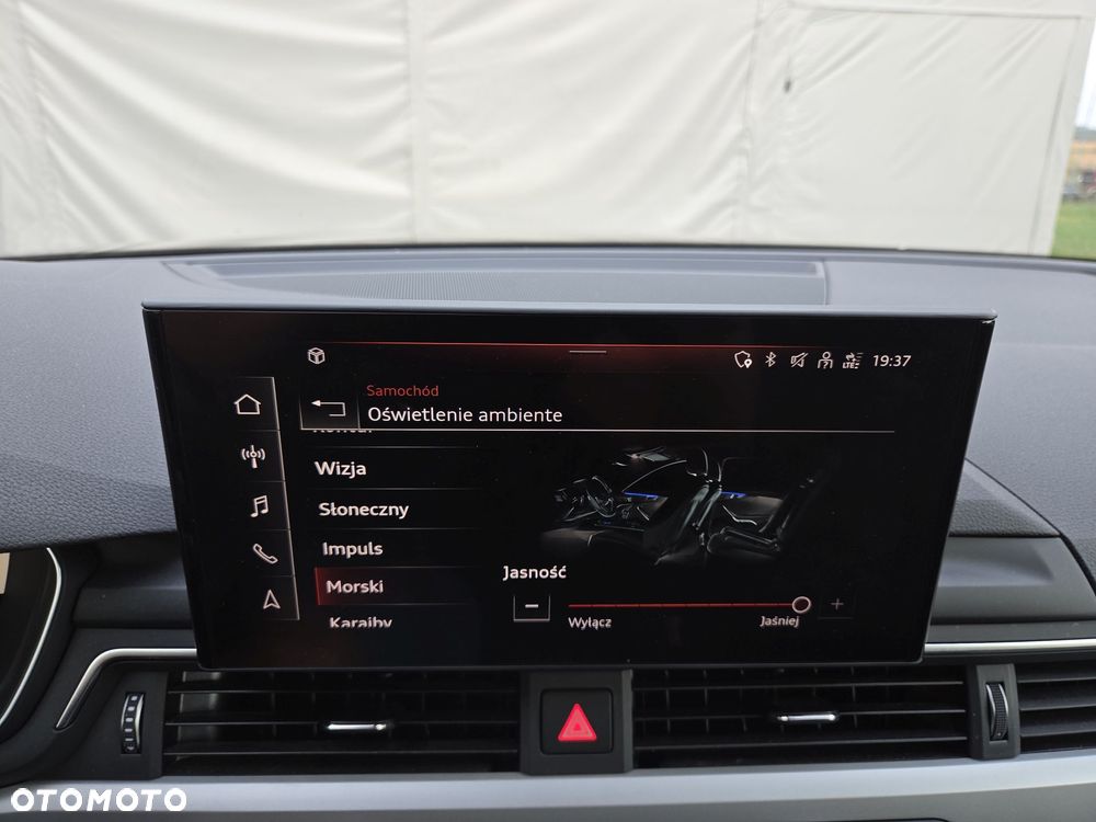 Audi A4 Allroad - 18