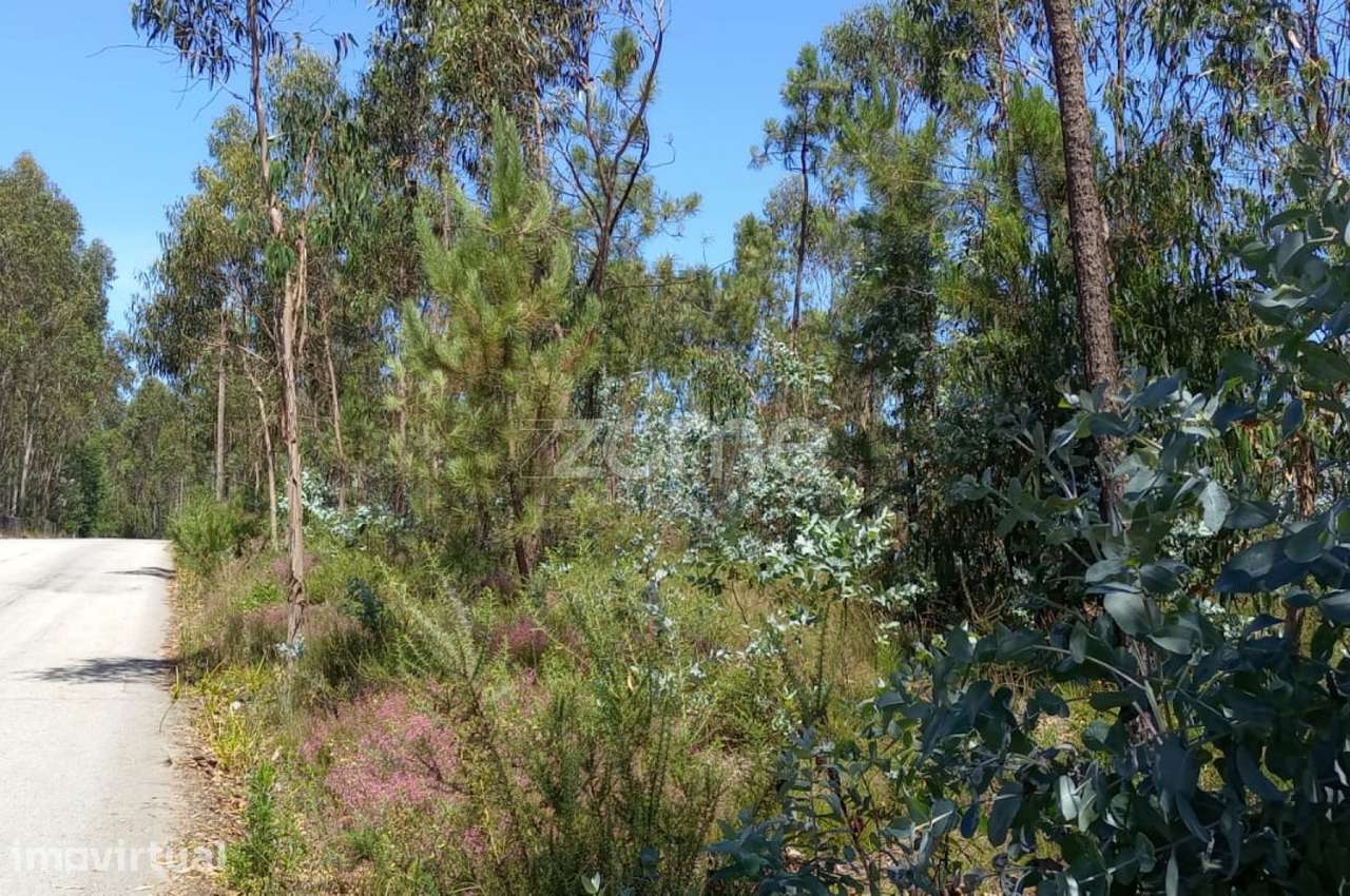Terreno florestal 20000 m2 em Vilarinho das Cambas - Grande imagem: 4/27