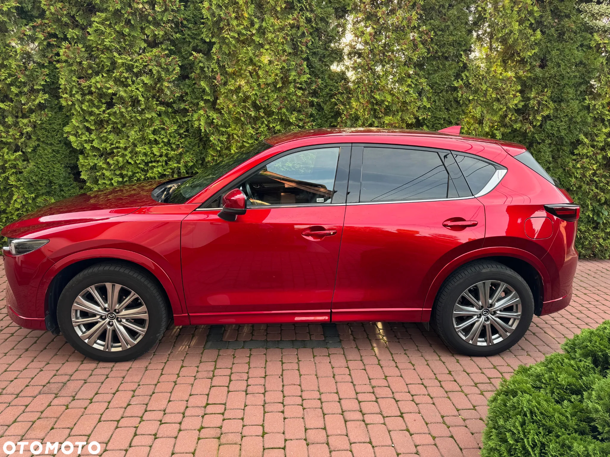 Mazda CX-5 2.5 Sports-Line 2WD - 2