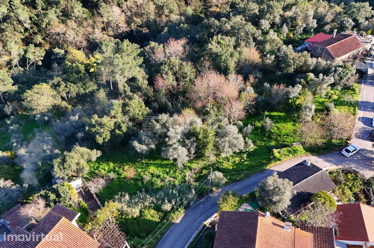 Terreno | Chão do Bispo | 4990 m² - Vista 3