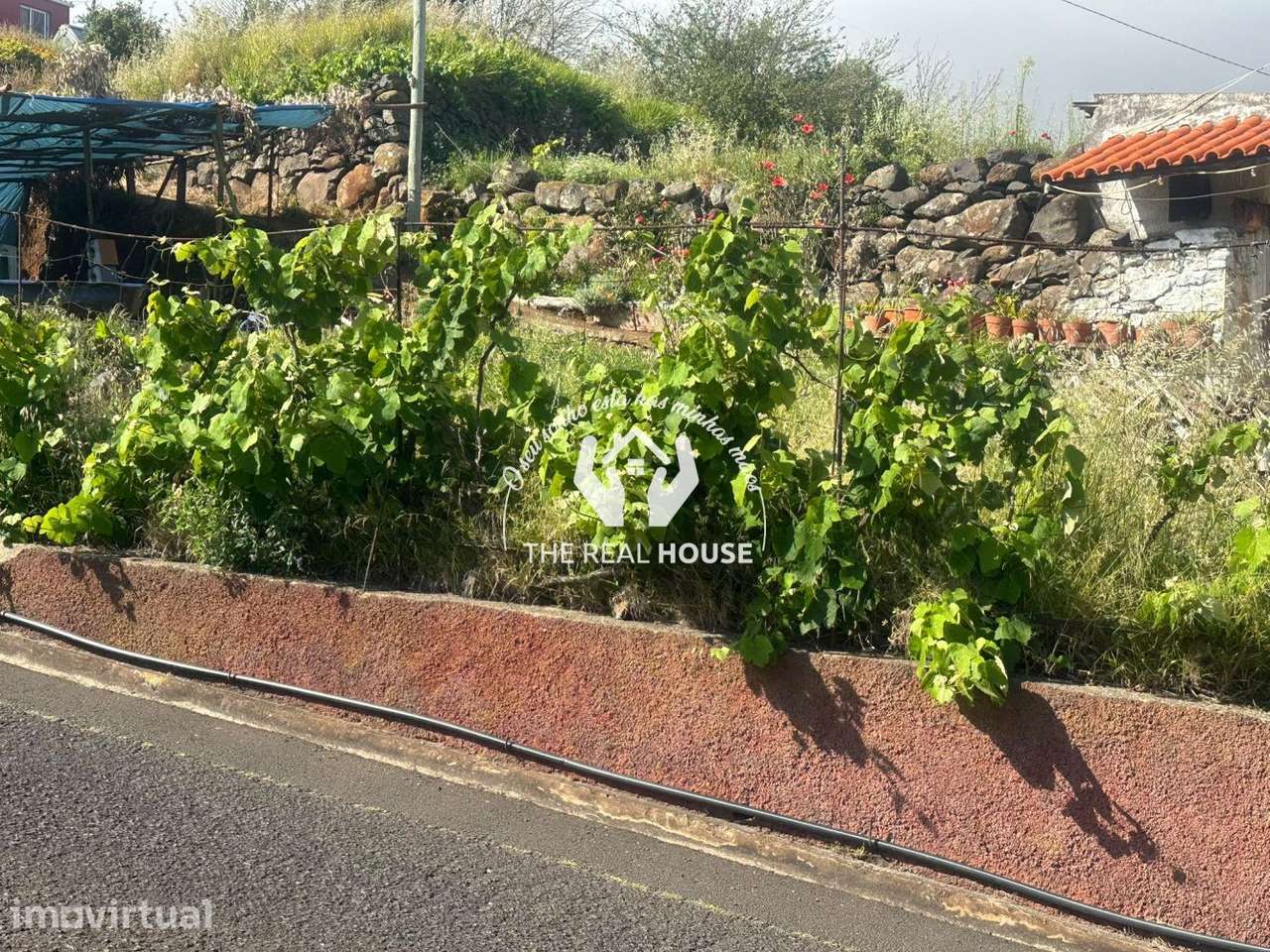 Terreno em Água de Pena - Grande imagem: 5/7