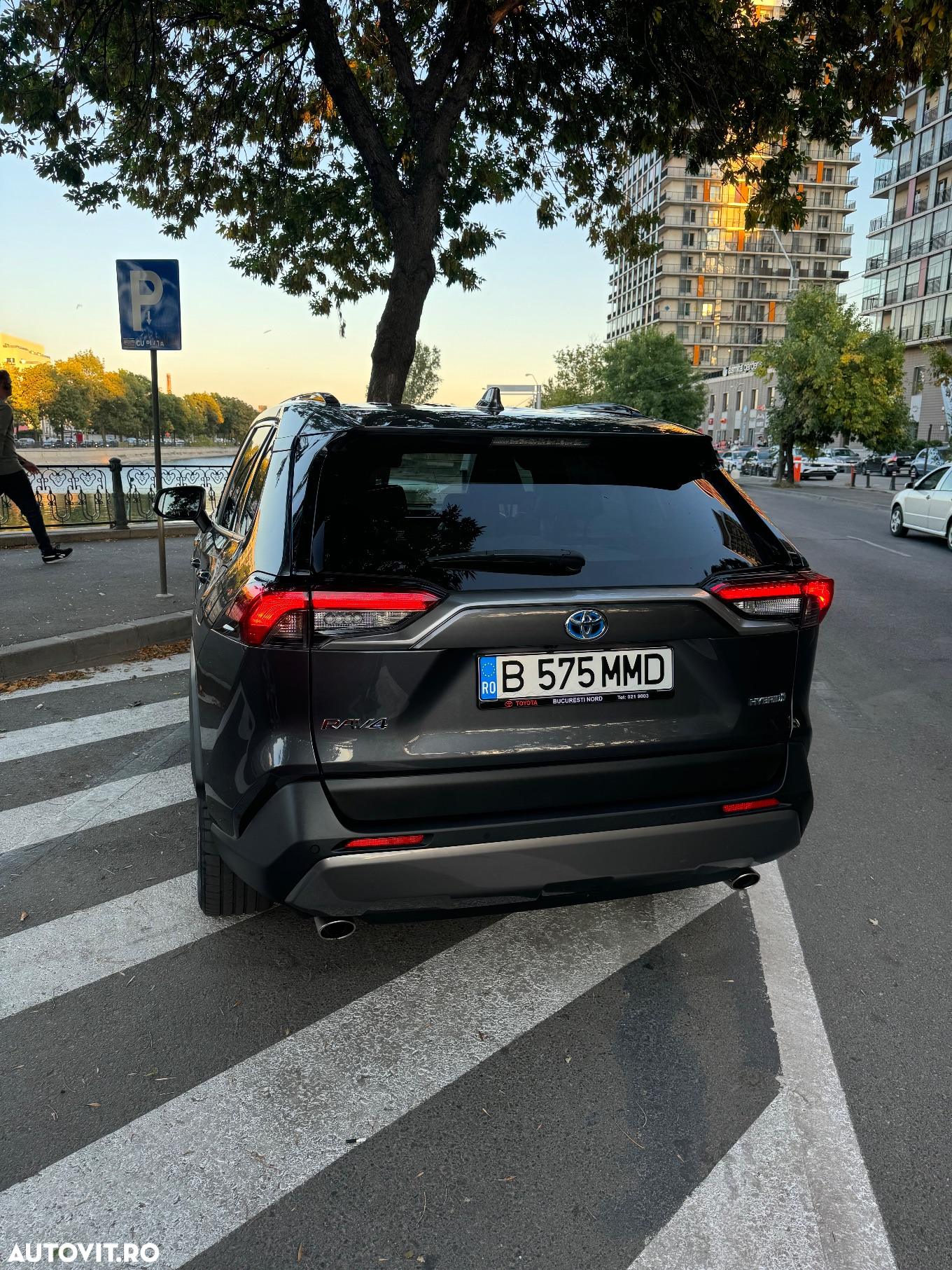 Toyota RAV4 2.5 Hybrid VVT-iE 4x4 Luxury Premium - 6