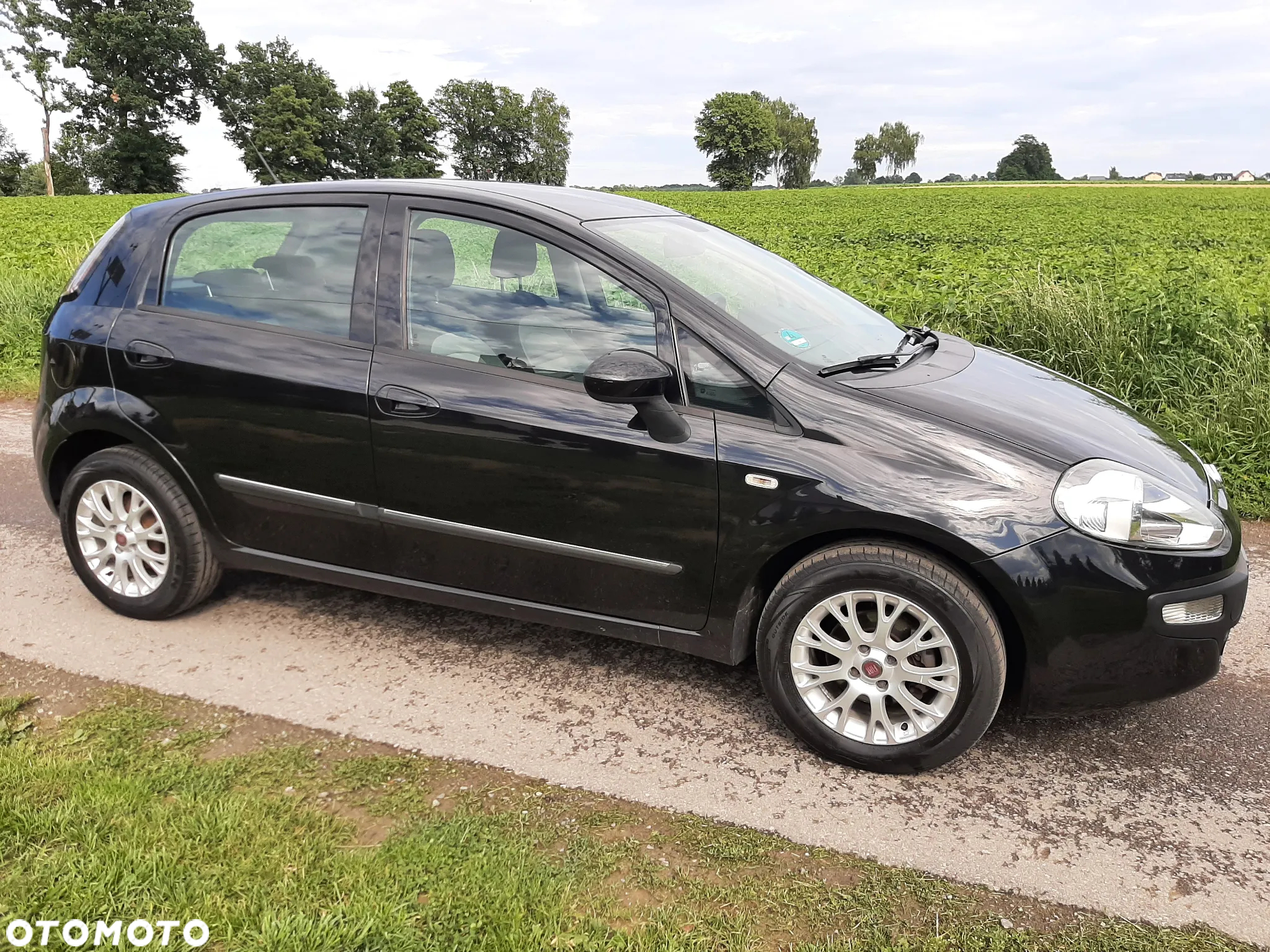 Fiat Punto Evo 1.4 8V Dynamic - 14