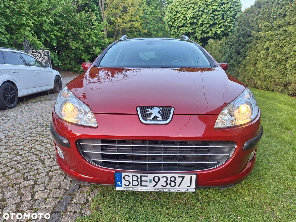 Peugeot 407 - 24