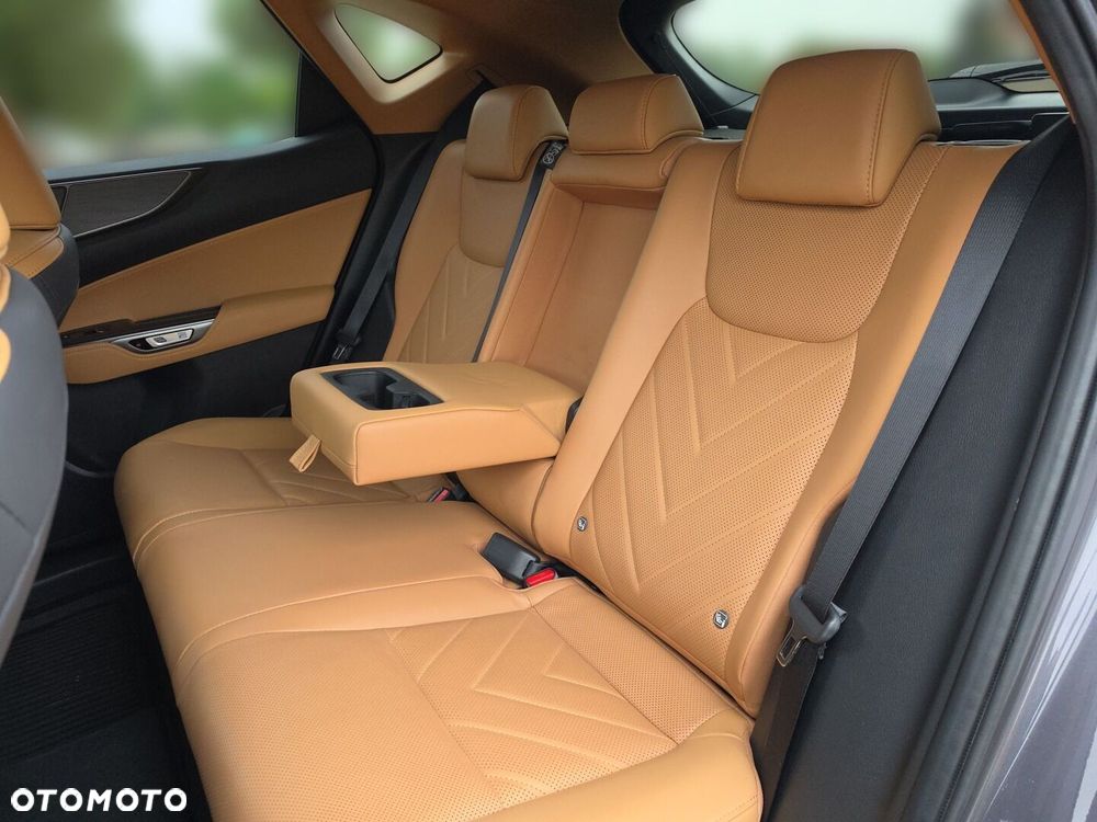 Lexus NX - 34