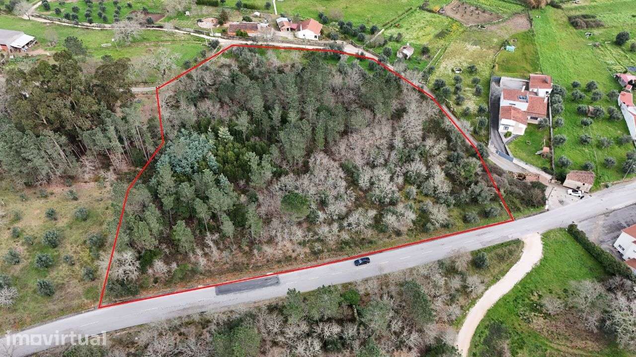 Terreno para construção com uma área de 14500 m2 - Grande imagem: 4/6
