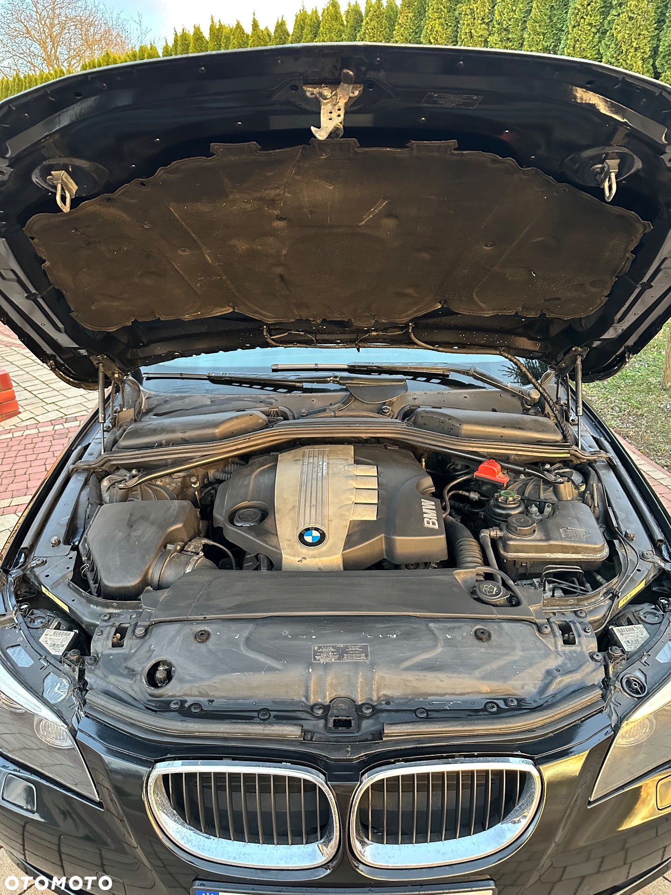 BMW Seria 5 520d - 12