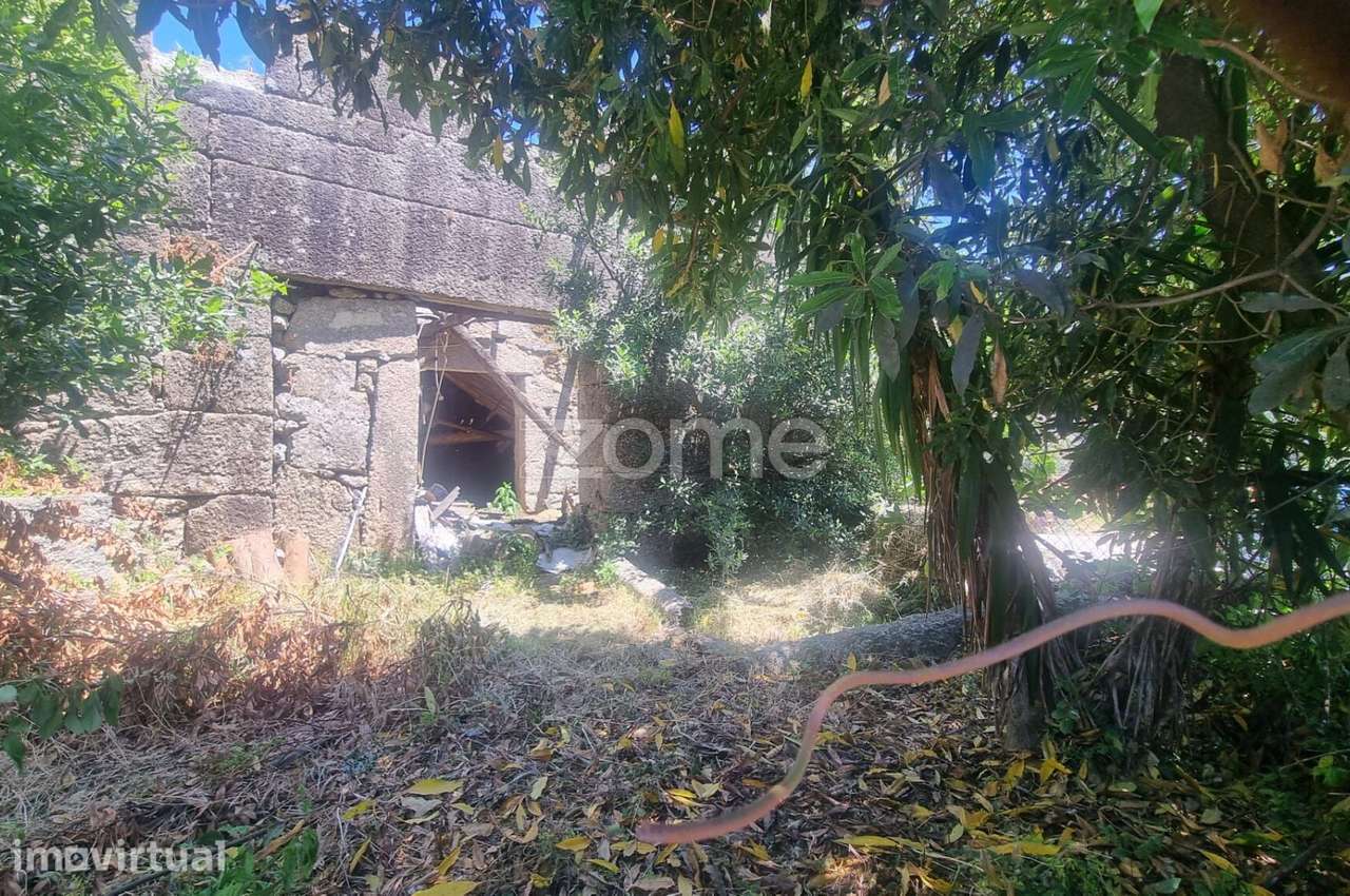 Moradia individual em ruína - Grande imagem: 5/20