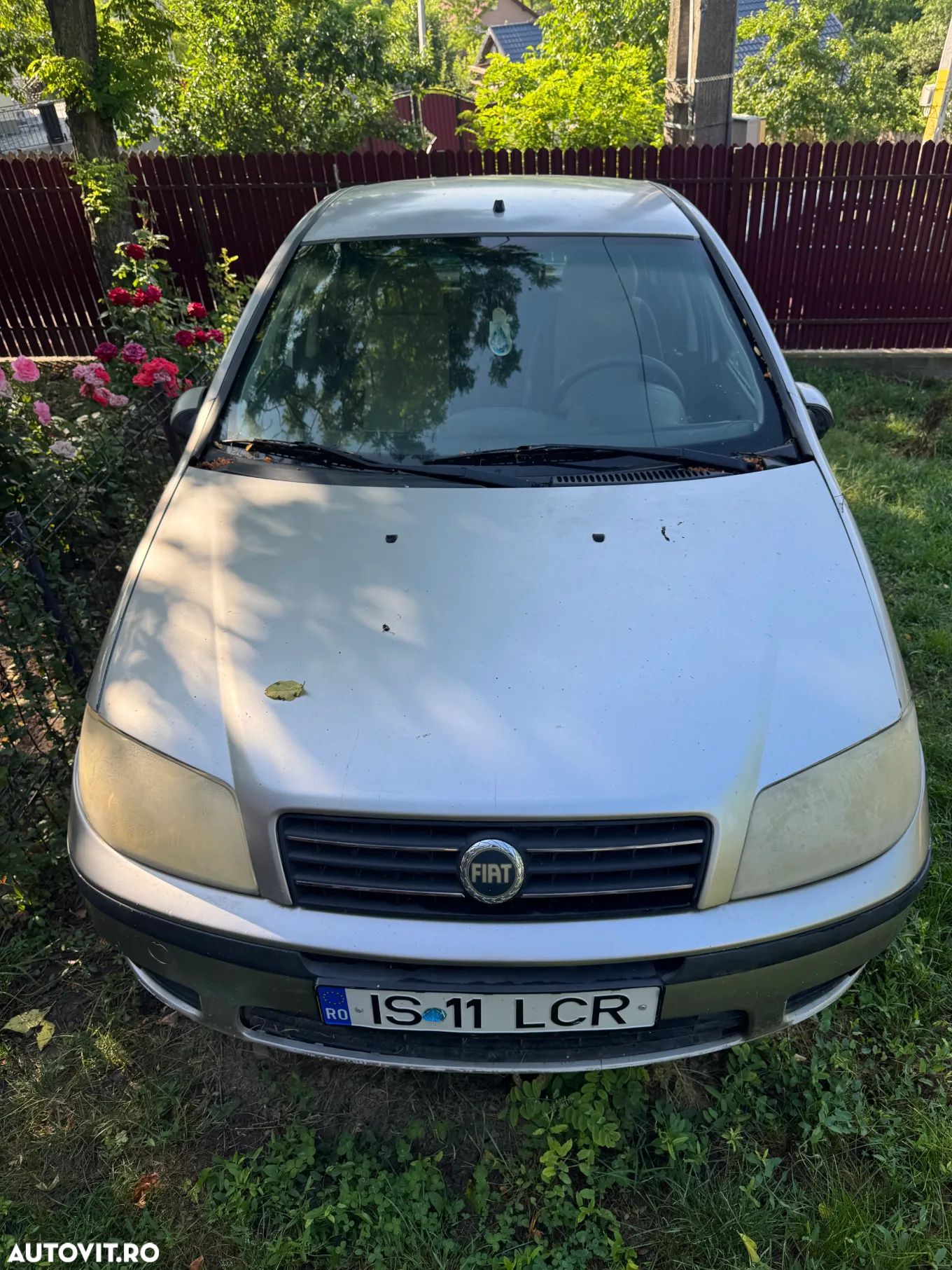 Fiat Punto 1.2 Active - 1
