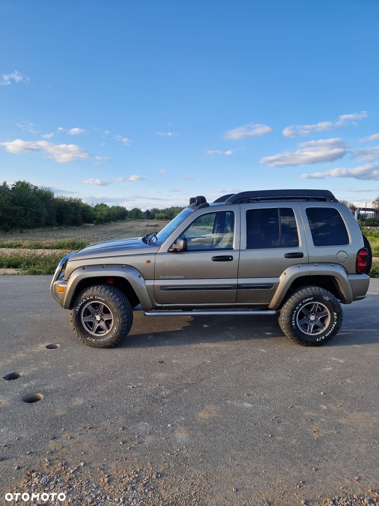 Jeep Cherokee 2.8L CRD Renegade - 15
