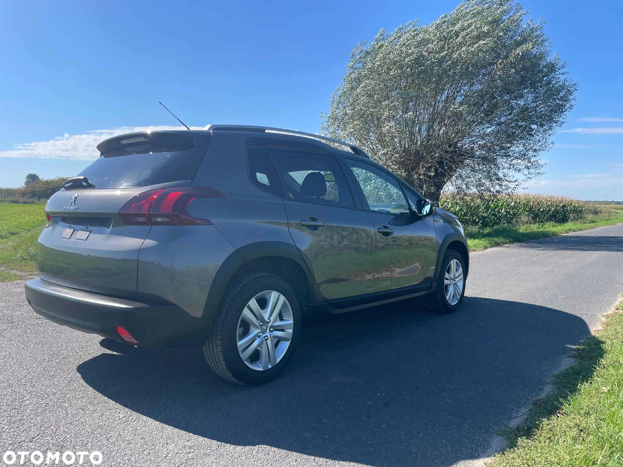 Peugeot 2008 1.2 Pure Tech Access - 12