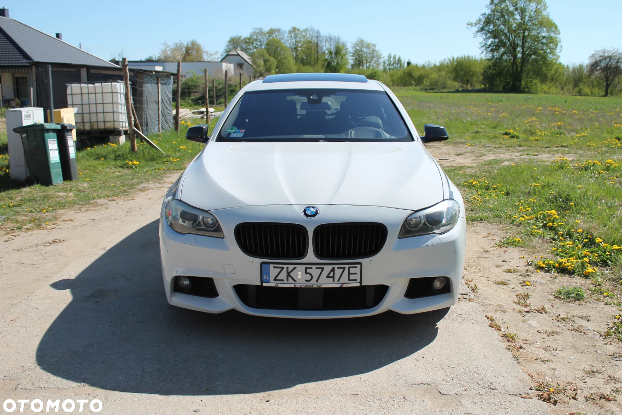 BMW Seria 5 530d xDrive - 10