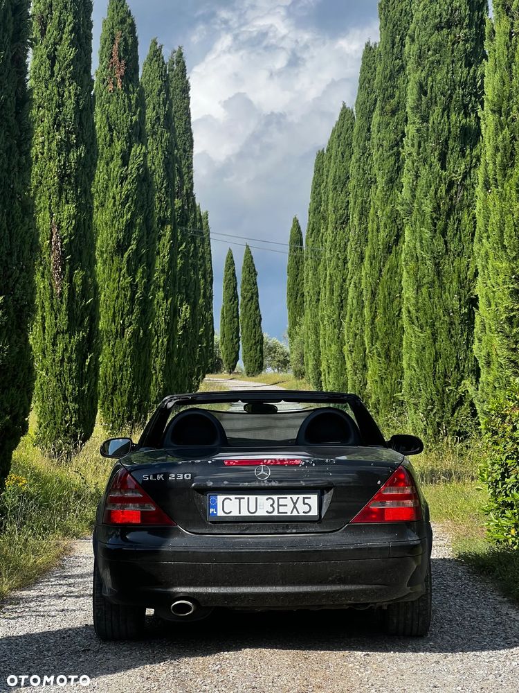 Mercedes-Benz SLK - 39