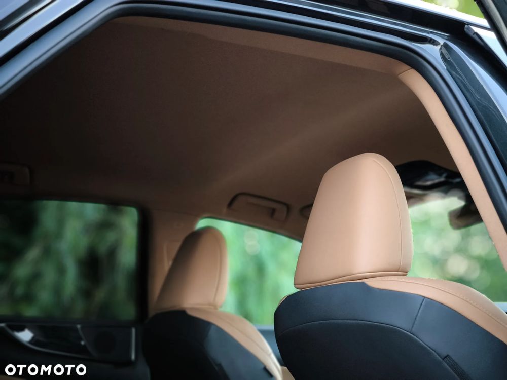 Lexus NX - 28