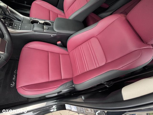 Lexus NX 300h F Impression AWD - 23