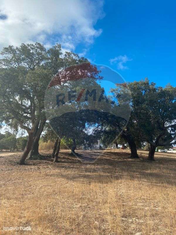 Quinta  para venda - Grande imagem: 3/24