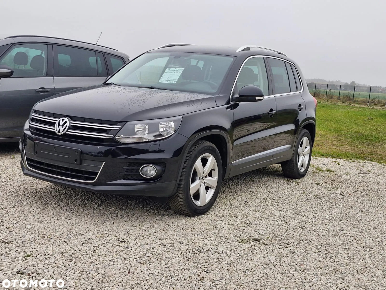 Volkswagen Tiguan - 2