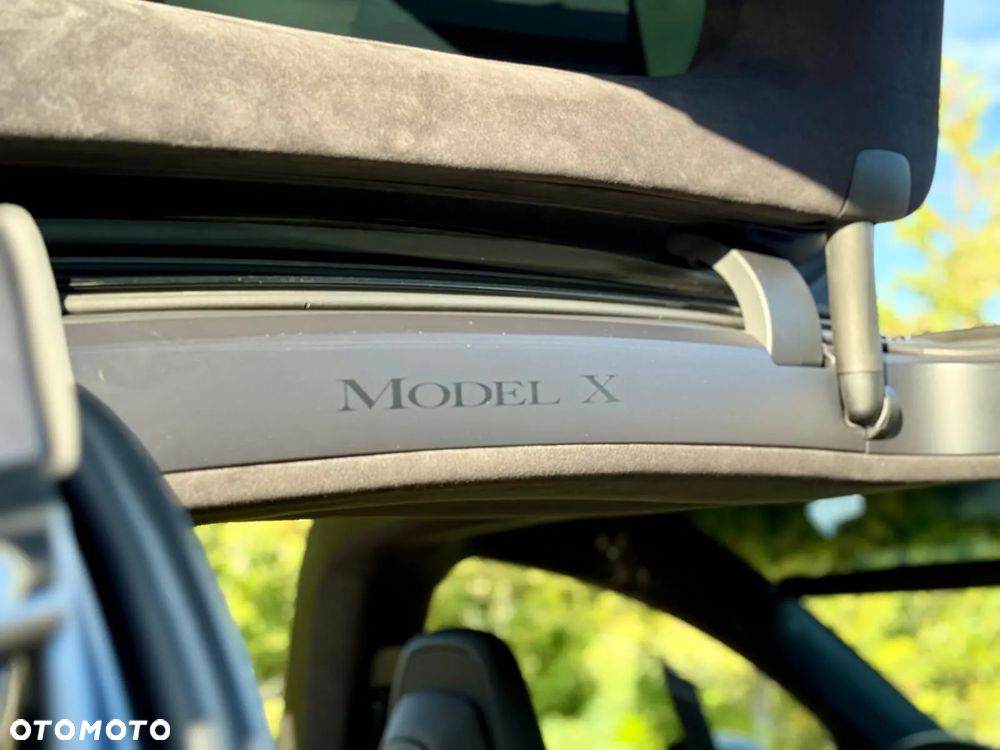 Tesla Model X Performance - 19