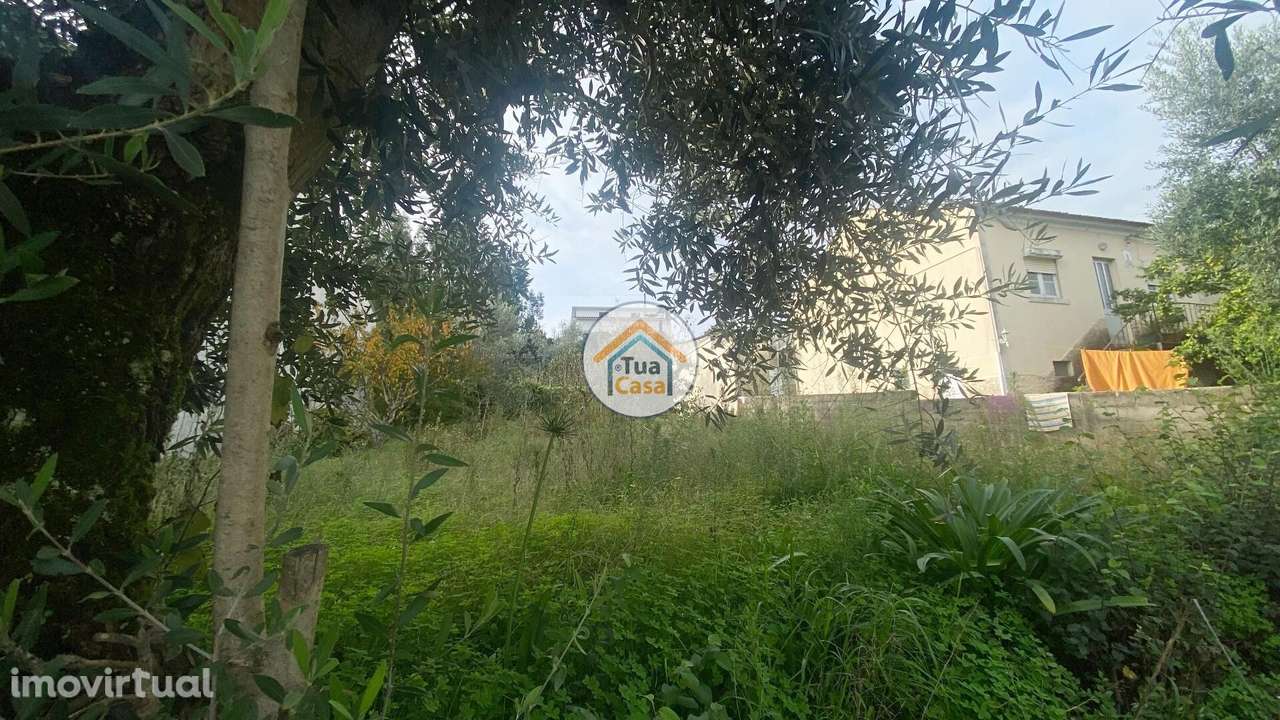 Terreno para construção, Coimbra - Grande imagem: 2/16