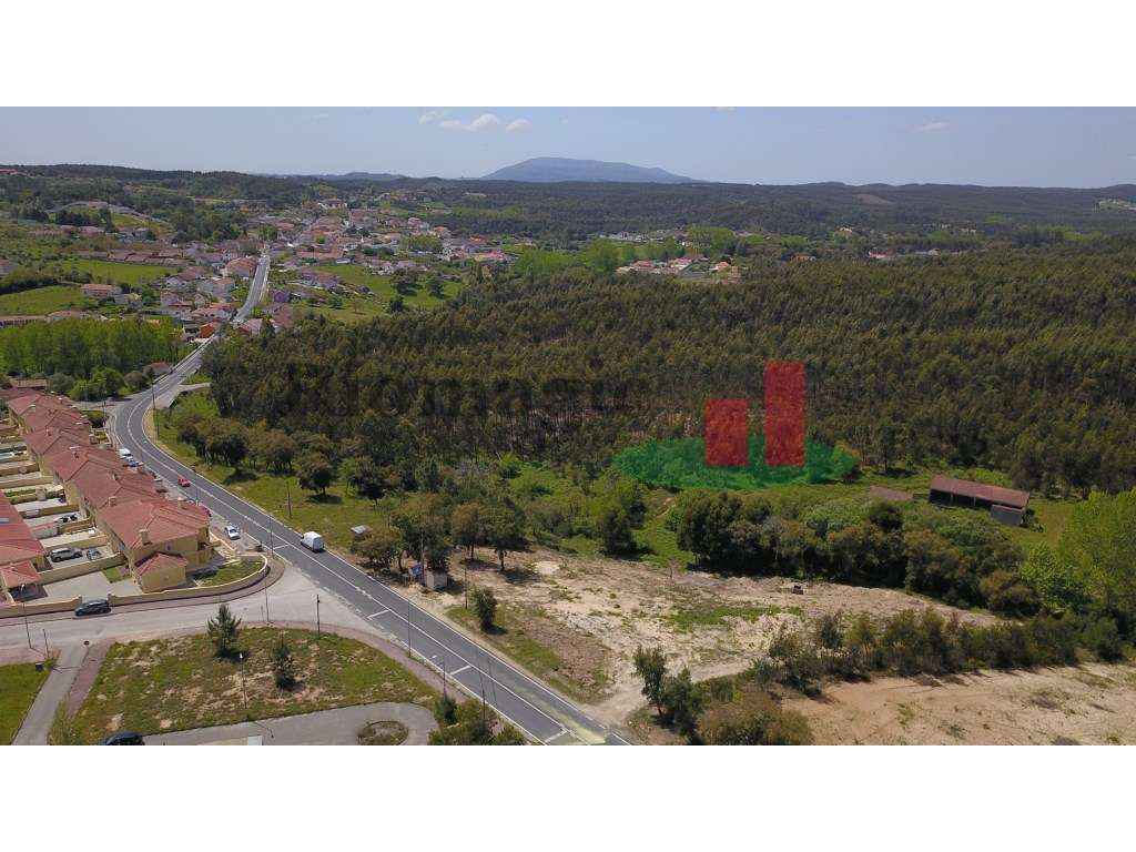 Terreno com Viabilidade de Construção em Asseiceira - Rio Maior***R... - Grande imagem: 2/14
