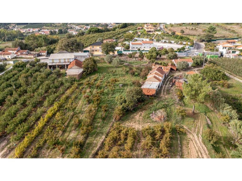 Terreno com Ruina no Vimeiro ' Casal' - Grande imagem: 2/16