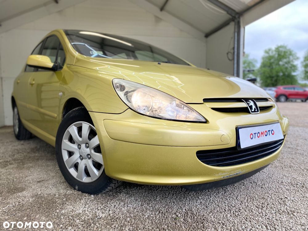 Peugeot 307 1.6 Premium - 19