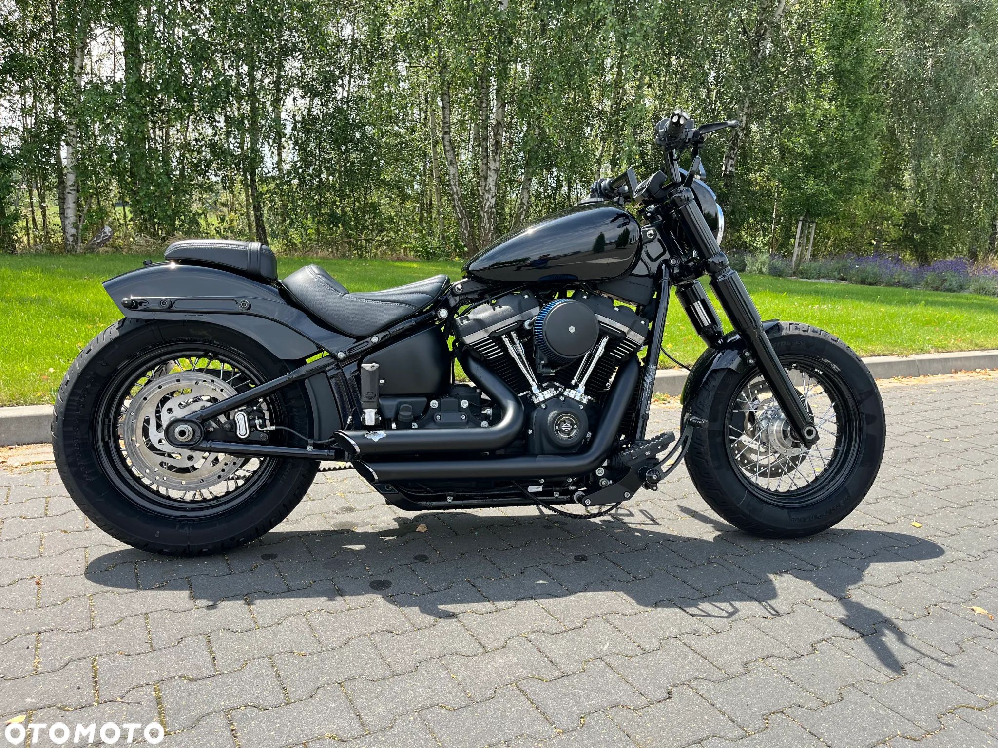 Harley-Davidson Softail Street Bob - 1