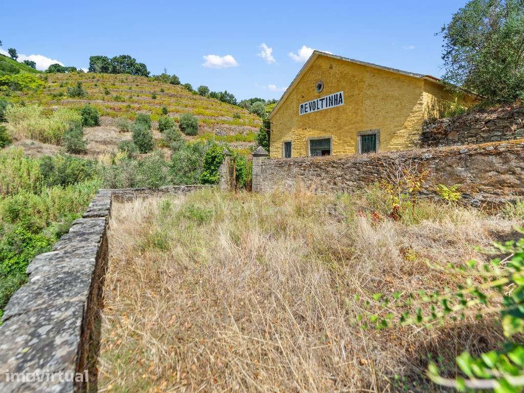Quinta com 7,4 ha para venda em Fontelas, Douro - Grande imagem: 3/26