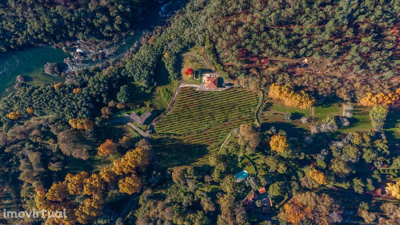 Quinta do Adigueiro, uma propriedade de charme única, situada em Bo... - Grande imagem: 4/47