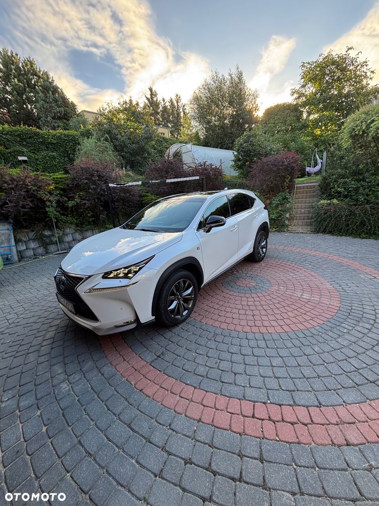 Lexus NX 300h F Sport AWD - 8