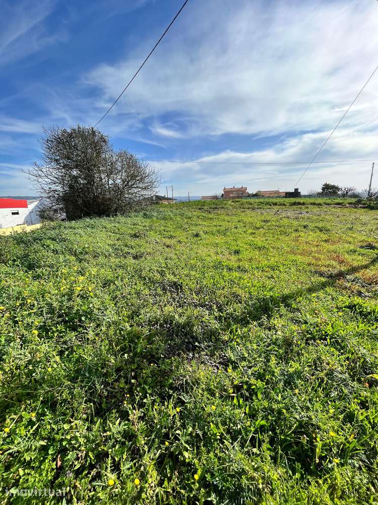 TERRENO PARA CONTRUÇÃO - 8 MORADIAS EM BOAVISTA - Grande imagem: 4/10