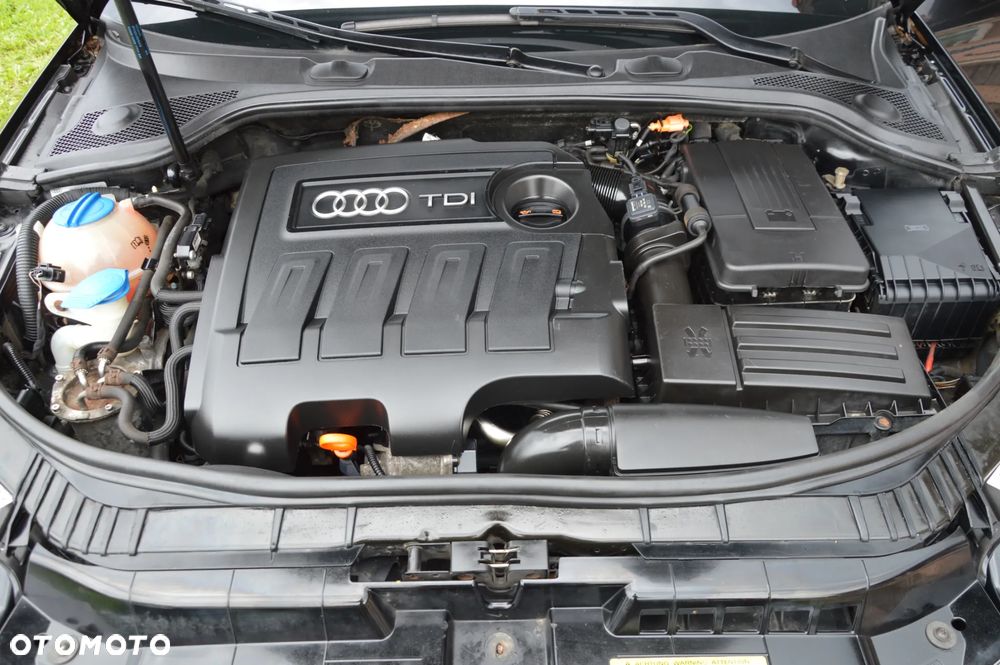 Audi A3 Sportback 1.6 TDI Attraction - 15