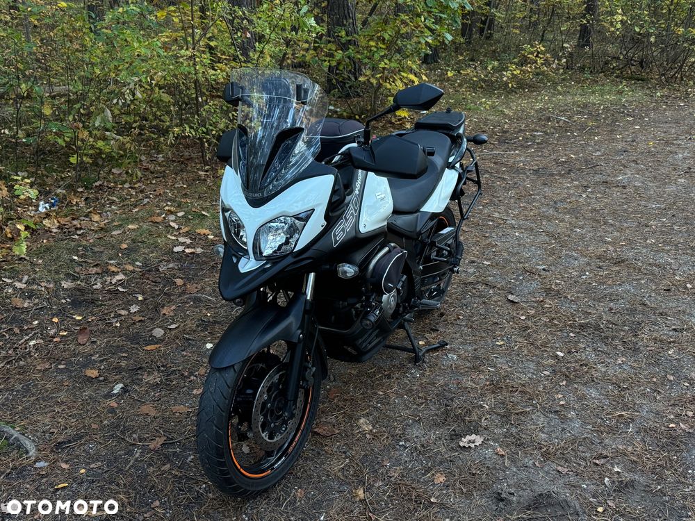 Suzuki DL - 19