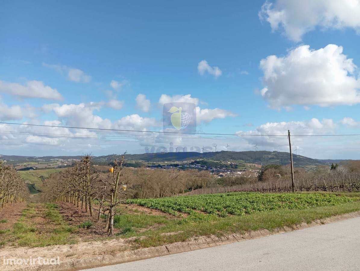 Moradia T2 A dos Francos - Grande imagem: 3/10